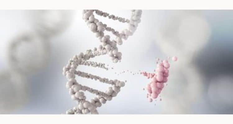  CrisprBits establishes CRISPR-based SARS-Co V2 examination with Omicron discovery