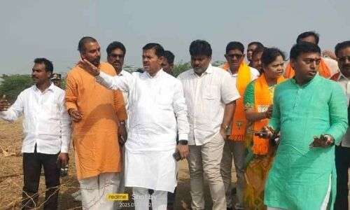 Union Minister gos to Bhadrachalam
