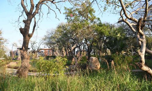 Curbs at Gandipet park raising hackles of site visitors