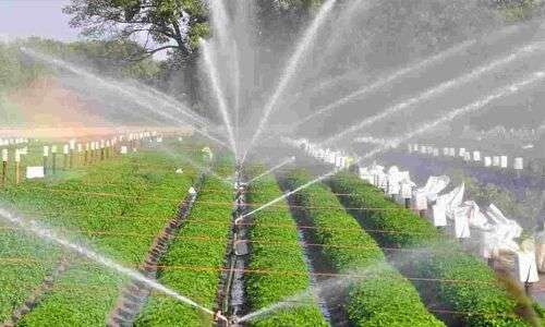 Telangana government to pump even more funds right into watering field