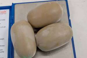 Take into custody Made at Hyderabad Airport: Rider Caught Concealing Gold Paste in Rectum