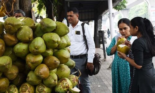  Coconut Water Demand in Hyderabad Rises Sharply