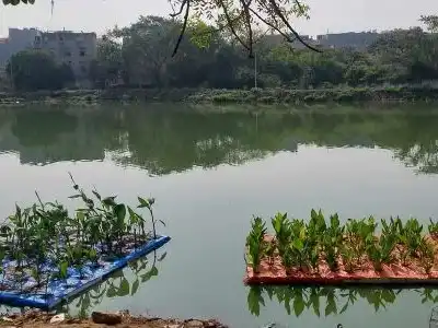 Floating Wetlands to Revitalize Hyderabad’s Lakes