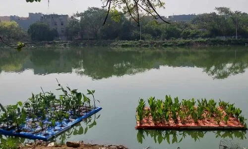 Floating Wetlands to Revitalize Hyderabad’s Lakes