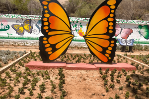 KPHB in Hyderabad to Affording free passage a Unused or little used and Diurnal insect Theme Park