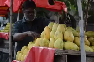 “Stay Up-to-Date with the Latest Hyderabad News: Top 5 Updates for Today”