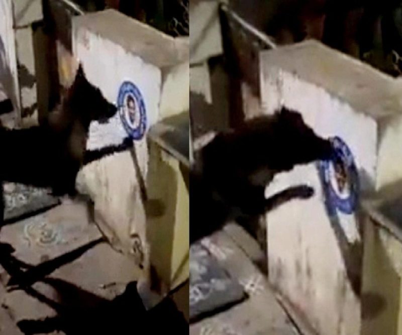 Andhra CM’s poster torn by dog leads to police complaint