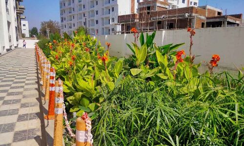 BlueDrop Enviro’s Sustainable Approach to Addressing Water Scarcity