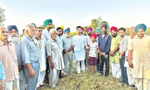 Chadha assesses crop damage in Punjab and requests compensation from Centre