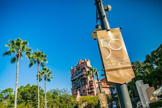 Disney Ex-Staff Member Accused of Recording 500+ Videos Up Women’s Skirts