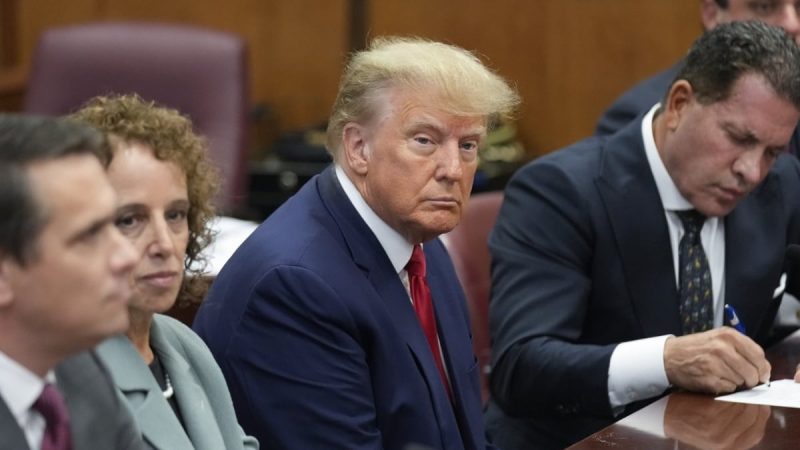 Donald Trump, Former US President, Denies 34 Felony Charges During Plea Hearing