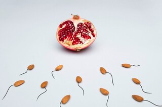 Donor Ordered by Dutch Court to Cease Producing Semen for Massive Kinship Network of Hundreds of Half-Siblings