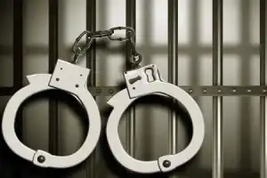 Guitarist in Hyderabad arrested for attempted rape