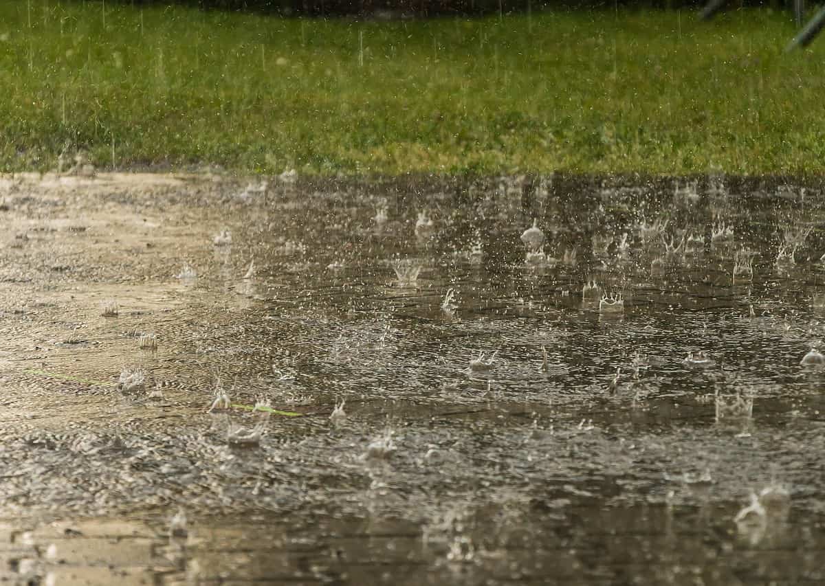 Hyderabad welcomes weekend rainfall, providing relief to sunburnt residents