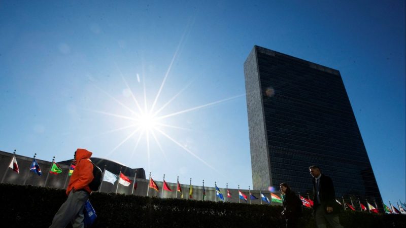 India Secures Membership in UN Statistical Commission and Other Significant UN Subsidiary Bodies