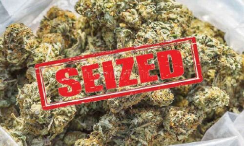 Interstate drug syndicate apprehended in New Delhi with seizure of 52 kg of marijuana.