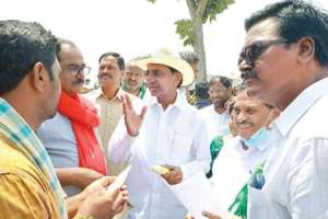 Khammam farmers receive aid package worth Rs 25 cr for crop damage