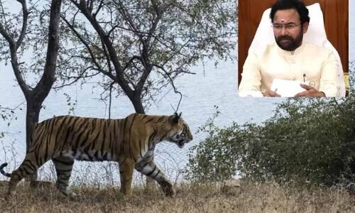 Kishan Reddy informs CM about declining tiger population and T's under-utilisation of CAMPA funds