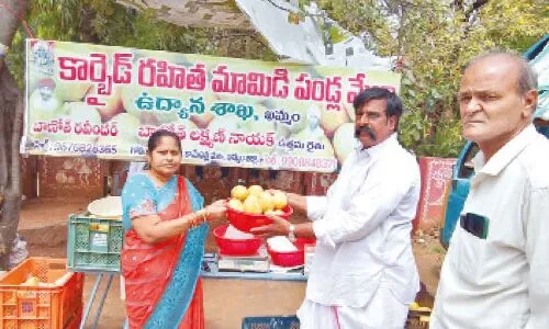“Locals in Khammam rush to purchase naturally-ripened mangoes from farmer”