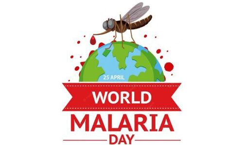 Malaria cases in Telangana decrease