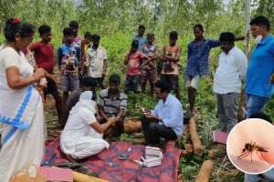 Malaria cases sharply decline in villages of Kothagudem agency