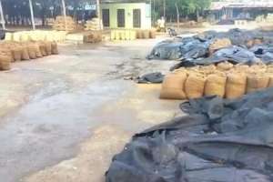 Palamuru in Mahbubnagar district experiences havoc caused by heavy rains and lightning.