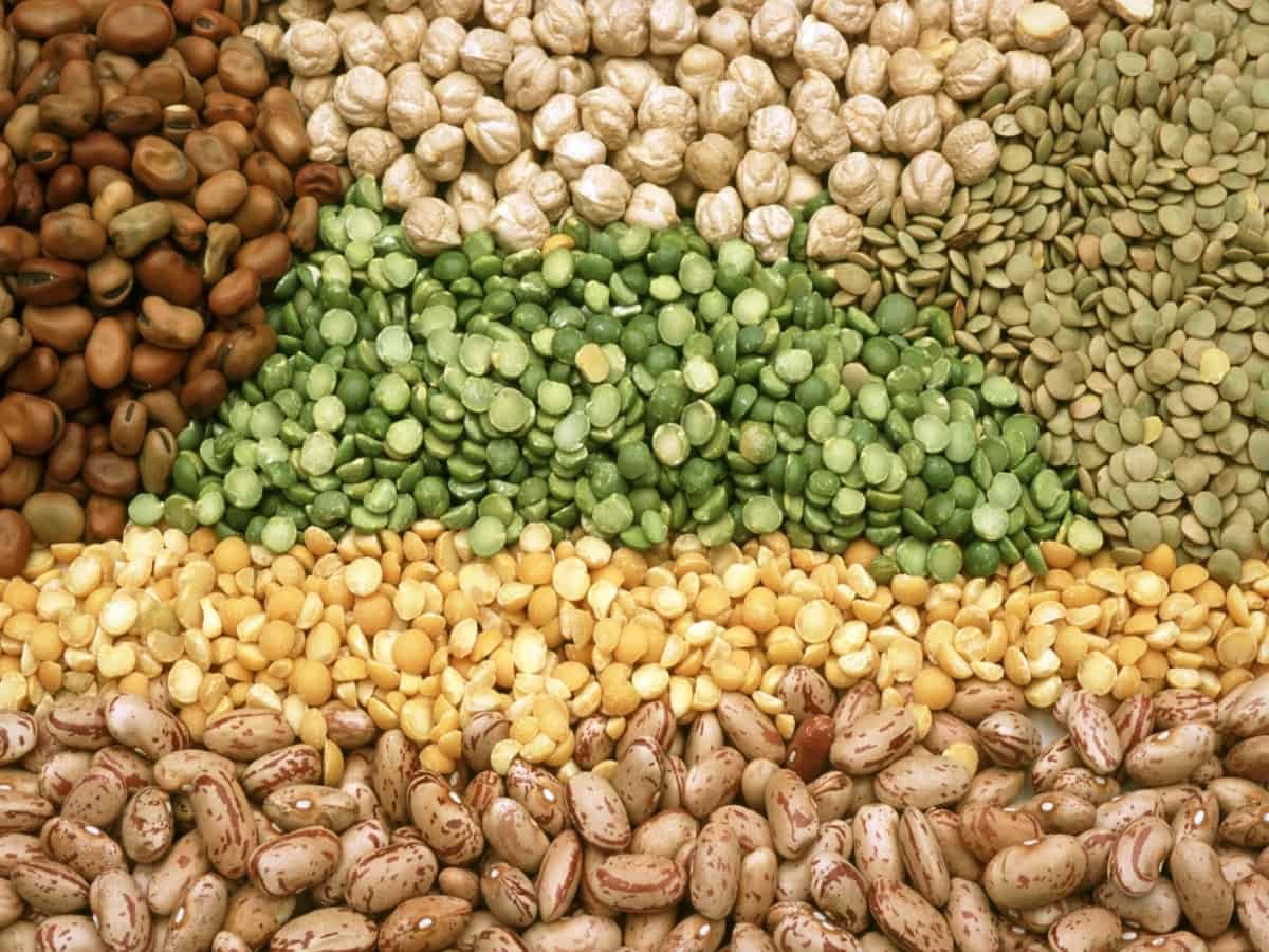 Pulses prices affected by low productivity and transportation issues