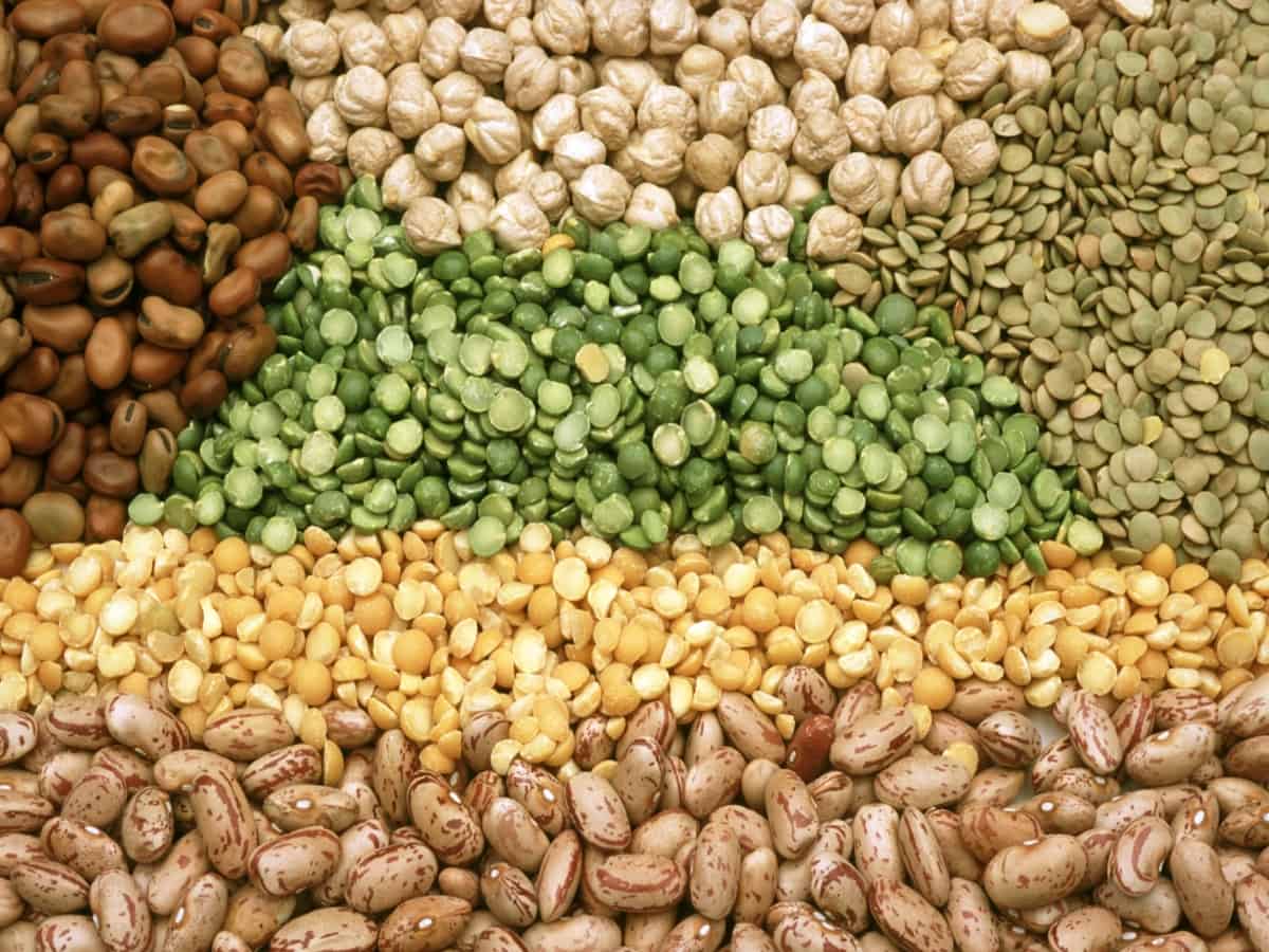Pulses prices affected by low productivity and transportation issues