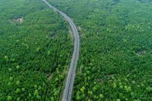 Road projects in forest areas approved by the government of Telangana
