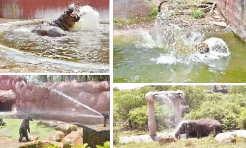Steps taken by Hyderabad’s City Zoo to combat the scorching heat.