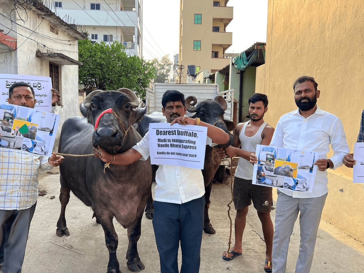“Warning to Buffaloes: BRS Leader Advises Against Approaching Vande Bharat Express in Video”