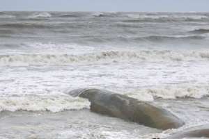 145 People Killed by Cyclone Mocha in Myanmar