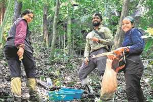 A Museum and a Haven of Diversity for Woody Plants: Hyderabad’s WG