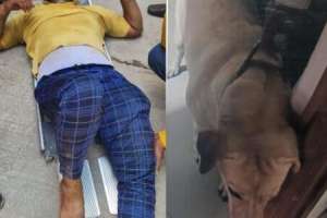 Another delivery person in Hyderabad jumps off a building to avoid dog attack
