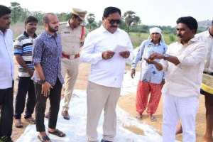 Entire paddy and maize procurement to be done by Telangana