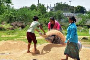 Farmers in Siddipet suffer a severe blow from nature