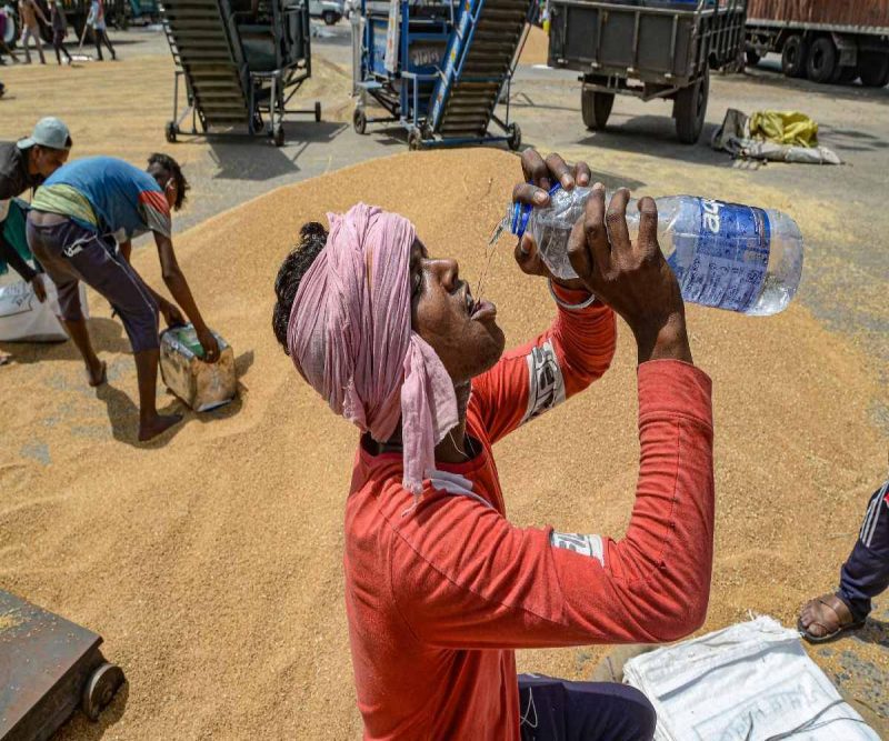 Field working hours adjusted by officials as temperature reaches 46 degrees in AP & Telangana