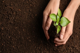 International Day of Yoga and Save Soil Campaign Promoted Through 10,000-Kilometer Walk Across South Africa