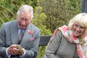 Live Protest Against Coronation of King Charles III by Republicans and Anti-Monarchists