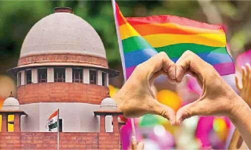 Panel to be established in New Delhi to address issues faced by same-sex couples
