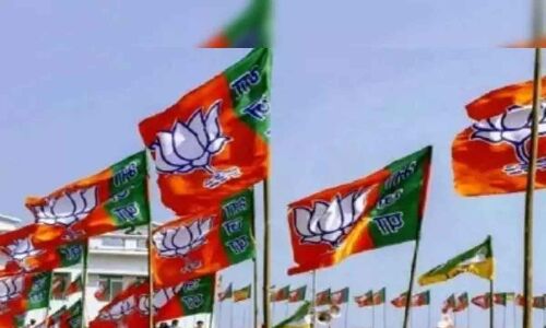 People’s issues in Hyderabad to be studied by BJP task force