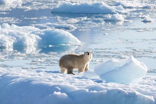 Report: 1.5 Degrees Celsius Target for Global Warming Expected to be Exceeded in the Next Five Years