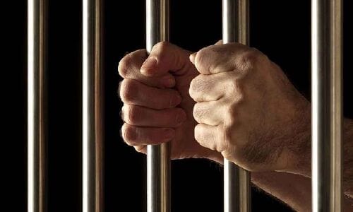 Cock Fighting Organizers Arrested in Hyderabad: 14 in Custody