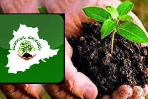 Forest cover and greenery on the rise due to Haritha Haram