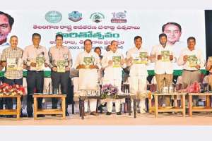 Greenery as a direction for the country