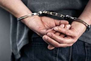 Hyderabad police arrest man for selling contaminated mustard seeds