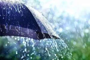 Multiple districts in Telangana to face heavy rainfall today and tomorrow.