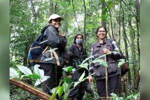 Researchers at CCMB in Hyderabad make predictions on genetic diversity in an ancient arthropod group.