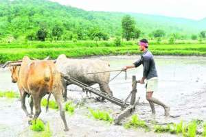 Rythu Bandhu | From 26th, Rythu Bandhu.. Evening to distribute crop investment