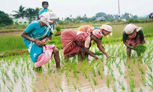 Rythu Bandhu scheme to benefit 150,000 tribal farmers in Telangana
